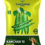 KANCHAN-10