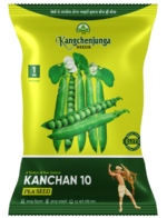 KANCHAN-10