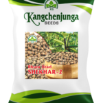 Urad seed ( Shekhar-2 /Bhura)