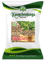 Urad seed ( Shekhar-2 /Bhura)