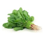 Palak Seeds - Image 3