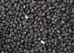Black Urad Seed T9 - Image 2