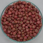 KANCHAN-10 - Image 9